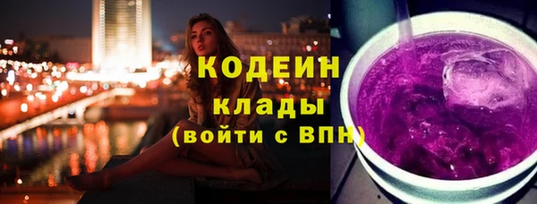 шишки Белокуриха