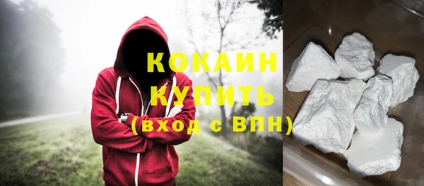 шишки Белокуриха