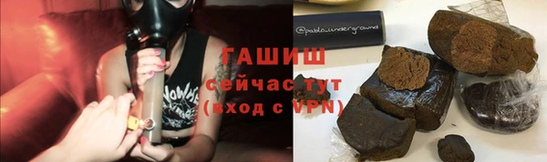 шишки Белокуриха