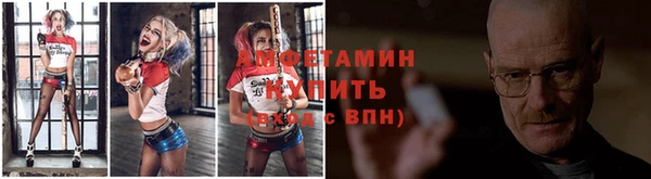 шишки Белокуриха