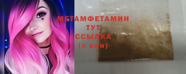 шишки Белокуриха