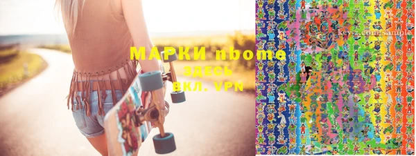 шишки Белокуриха