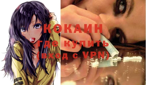 шишки Белокуриха