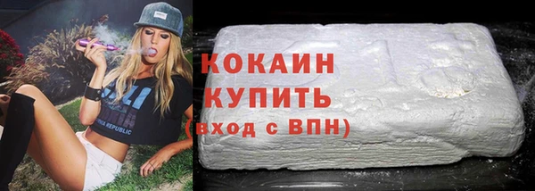 шишки Белокуриха